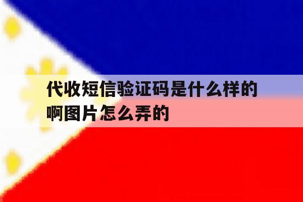 代收短信验证码是什么样的啊图片怎么弄的 代收短信验证码是什么样的啊图片怎么弄的