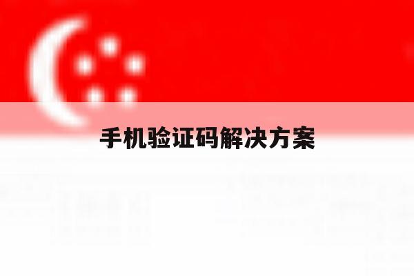 手机验证码解决方案 手机验证码解决方案
