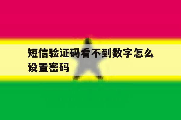短信验证码看不到数字怎么设置密码 短信验证码看不到数字怎么设置密码