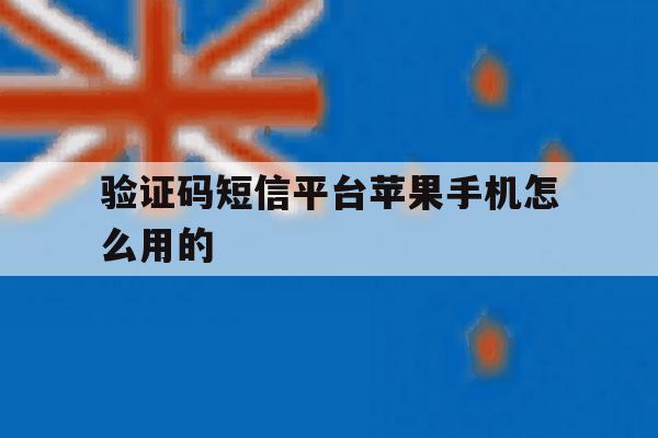 验证码短信平台苹果手机怎么用的 验证码短信平台苹果手机怎么用的