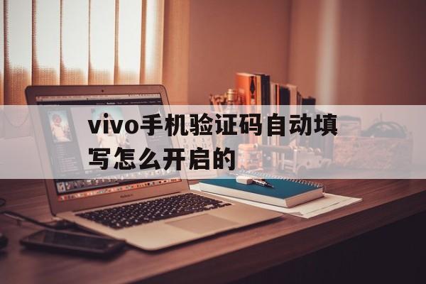 vivo手机验证码自动填写怎么开启的 vivo手机验证码自动填写怎么开启的