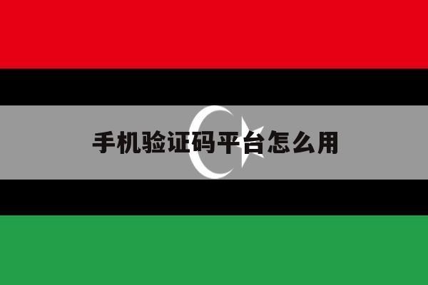 手机验证码平台怎么用 手机验证码平台怎么用