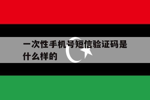 一次性手机号短信验证码是什么样的 一次性手机号短信验证码是什么样的