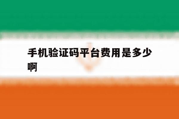 手机验证码平台费用是多少啊 手机验证码平台费用是多少啊