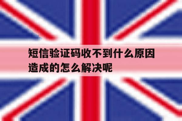 短信验证码收不到什么原因造成的怎么解决呢 短信验证码收不到什么原因造成的怎么解决呢
