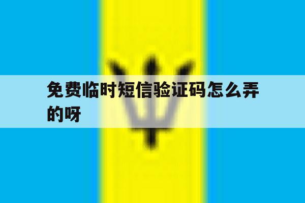 免费临时短信验证码怎么弄的呀 免费临时短信验证码怎么弄的呀