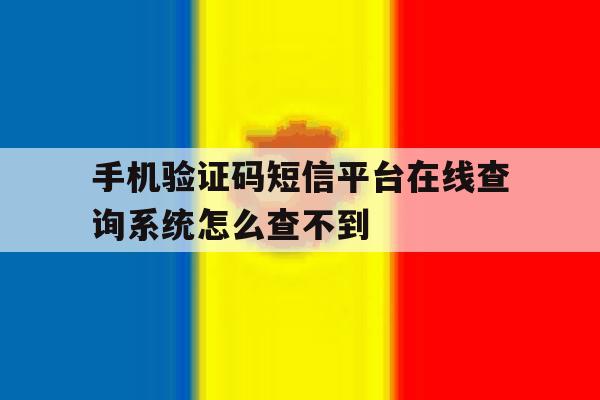 手机验证码短信平台在线查询系统怎么查不到 手机验证码短信平台在线查询系统怎么查不到