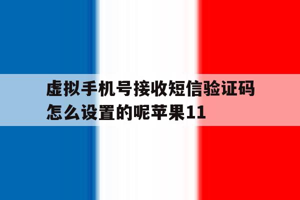 包含虚拟手机号接收短信验证码怎么设置的呢苹果11的词条 包含虚拟手机号接收短信验证码怎么设置的呢苹果11的词条