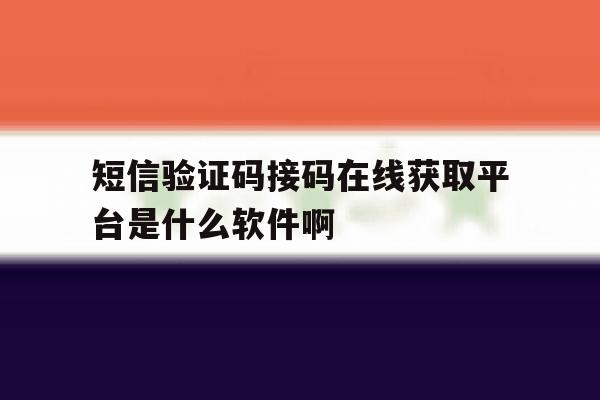 短信验证码接码在线获取平台是什么软件啊 短信验证码接码在线获取平台是什么软件啊