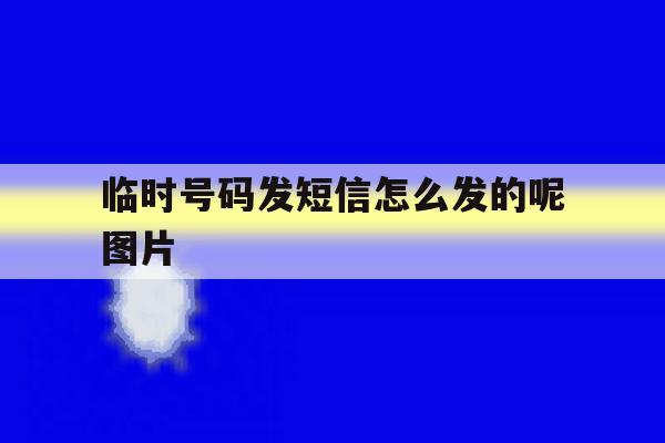 临时号码发短信怎么发的呢图片 临时号码发短信怎么发的呢图片
