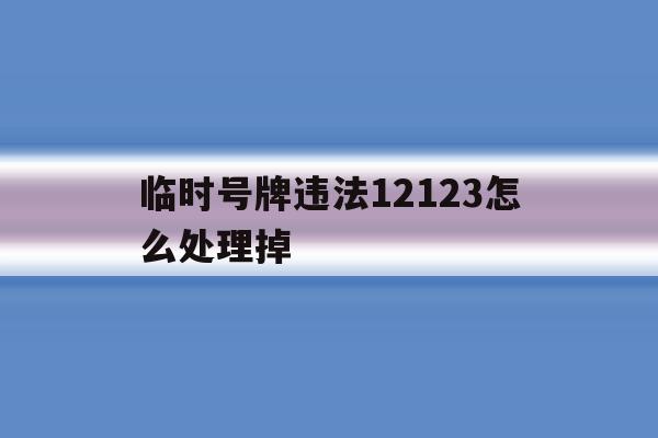 临时号牌违法12123怎么处理掉 临时号牌违法12123怎么处理掉