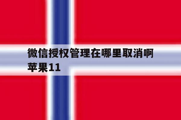 微信授权管理在哪里取消啊苹果11 微信授权管理在哪里取消啊苹果11