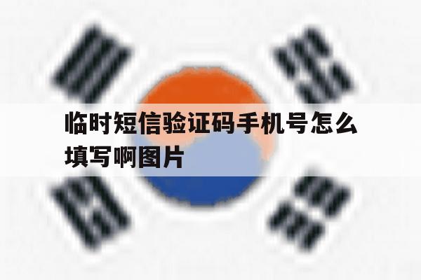 临时短信验证码手机号怎么填写啊图片 临时短信验证码手机号怎么填写啊图片