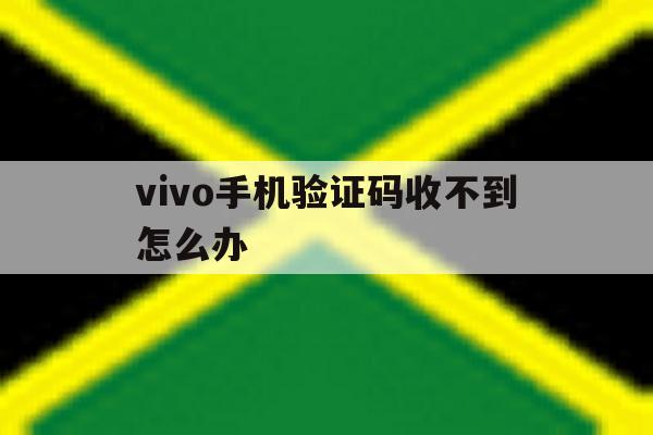 vivo手机验证码收不到怎么办 vivo手机验证码收不到怎么办