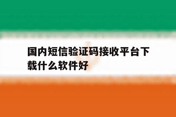国内短信验证码接收平台下载什么软件好 国内短信验证码接收平台下载什么软件好