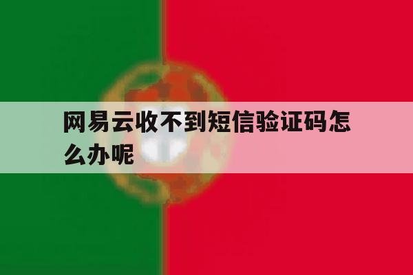 网易云收不到短信验证码怎么办呢 网易云收不到短信验证码怎么办呢
