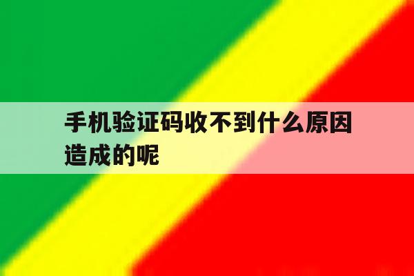 手机验证码收不到什么原因造成的呢 手机验证码收不到什么原因造成的呢
