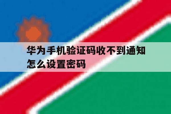华为手机验证码收不到通知怎么设置密码 华为手机验证码收不到通知怎么设置密码