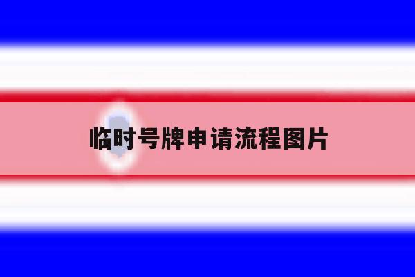 临时号牌申请流程图片 临时号牌申请流程图片