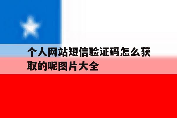 个人网站短信验证码怎么获取的呢图片大全的简单介绍 个人网站短信验证码怎么获取的呢图片大全的简单介绍