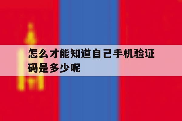 怎么才能知道自己手机验证码是多少呢 怎么才能知道自己手机验证码是多少呢