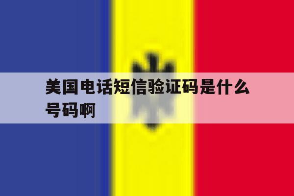 美国电话短信验证码是什么号码啊 美国电话短信验证码是什么号码啊