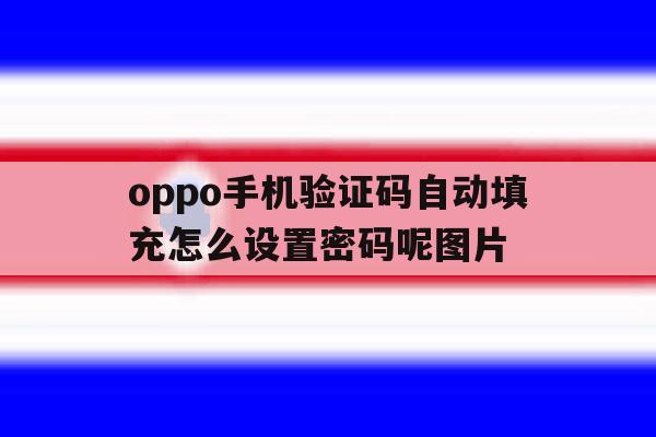 包含oppo手机验证码自动填充怎么设置密码呢图片的词条 包含oppo手机验证码自动填充怎么设置密码呢图片的词条