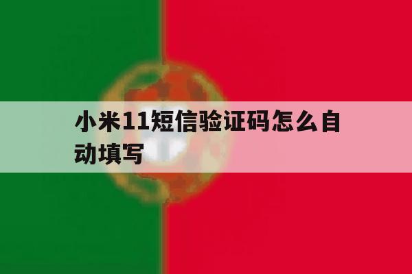 小米11短信验证码怎么自动填写 小米11短信验证码怎么自动填写