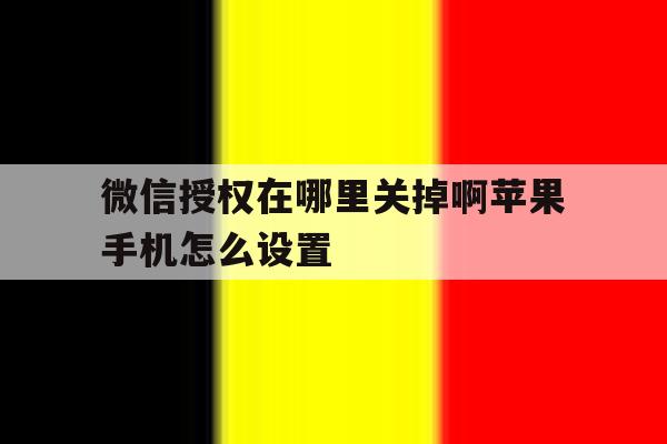 微信授权在哪里关掉啊苹果手机怎么设置 微信授权在哪里关掉啊苹果手机怎么设置