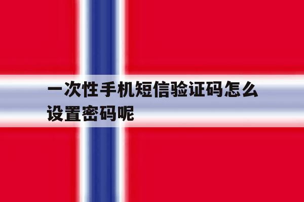 一次性手机短信验证码怎么设置密码呢 一次性手机短信验证码怎么设置密码呢