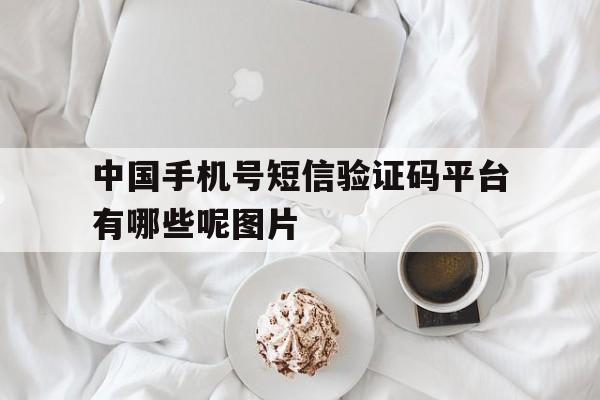 中国手机号短信验证码平台有哪些呢图片的简单介绍 中国手机号短信验证码平台有哪些呢图片的简单介绍