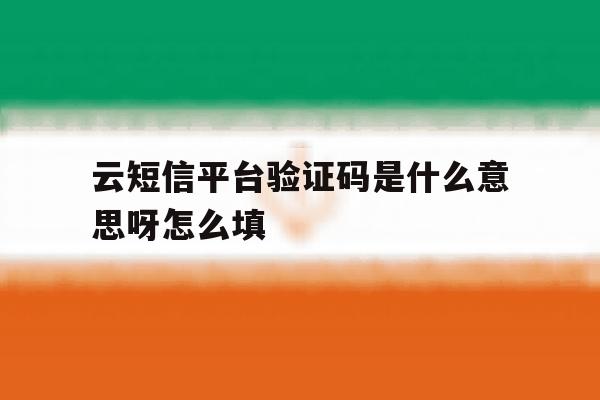 云短信平台验证码是什么意思呀怎么填 云短信平台验证码是什么意思呀怎么填