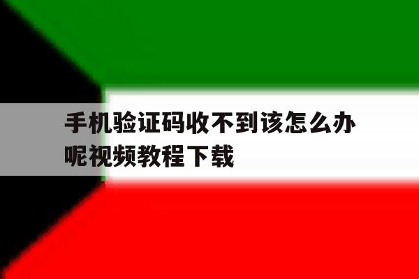 手机验证码收不到该怎么办呢视频教程下载的简单介绍 手机验证码收不到该怎么办呢视频教程下载的简单介绍