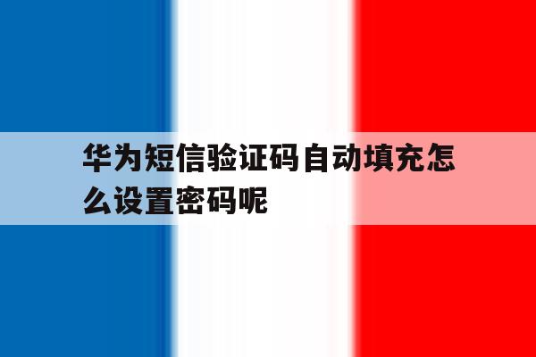 华为短信验证码自动填充怎么设置密码呢 华为短信验证码自动填充怎么设置密码呢