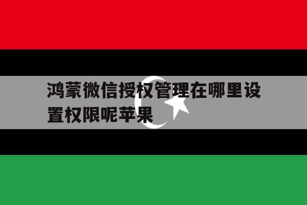 关于鸿蒙微信授权管理在哪里设置权限呢苹果的信息 关于鸿蒙微信授权管理在哪里设置权限呢苹果的信息