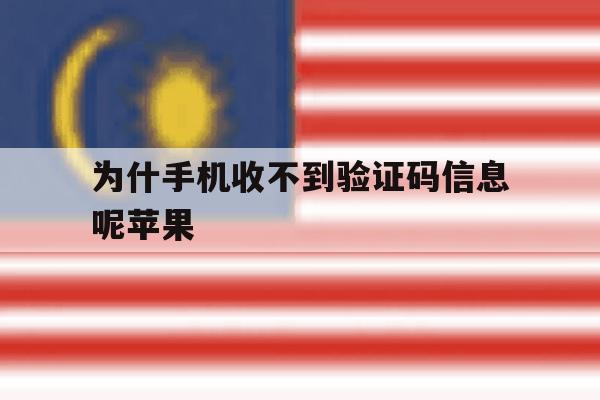 为什手机收不到验证码信息呢苹果 为什手机收不到验证码信息呢苹果