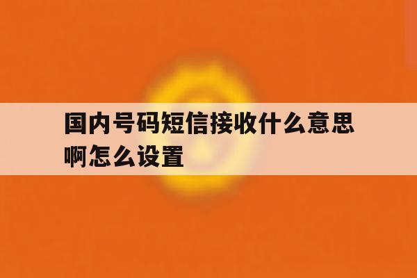 国内号码短信接收什么意思啊怎么设置 国内号码短信接收什么意思啊怎么设置