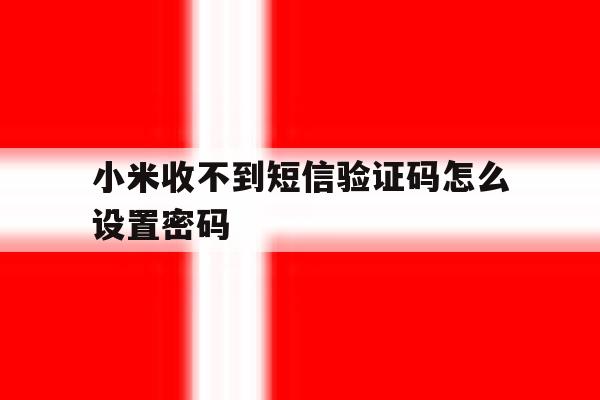 小米收不到短信验证码怎么设置密码 小米收不到短信验证码怎么设置密码