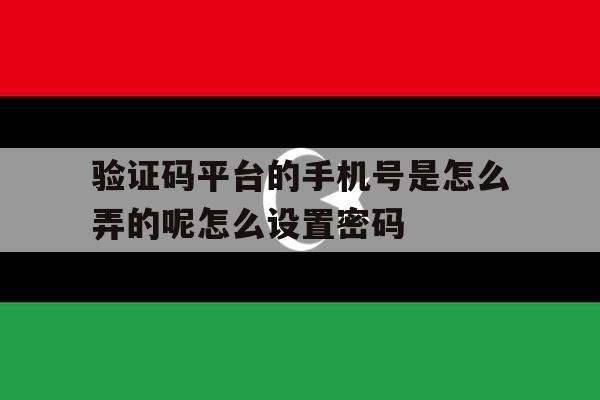 验证码平台的手机号是怎么弄的呢怎么设置密码的简单介绍 验证码平台的手机号是怎么弄的呢怎么设置密码的简单介绍