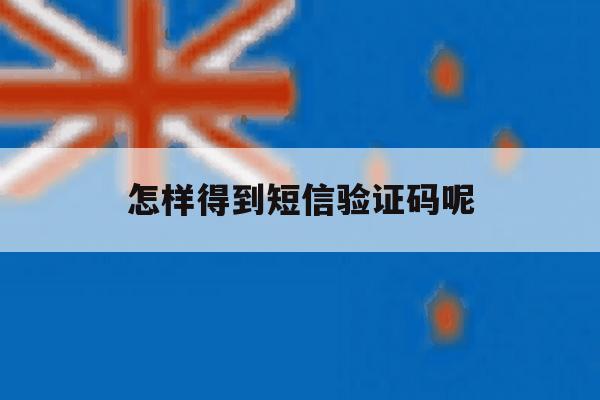 怎样得到短信验证码呢 怎样得到短信验证码呢