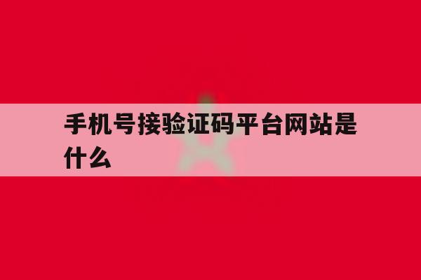 手机号接验证码平台网站是什么 手机号接验证码平台网站是什么