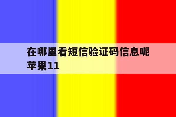 在哪里看短信验证码信息呢苹果11 在哪里看短信验证码信息呢苹果11