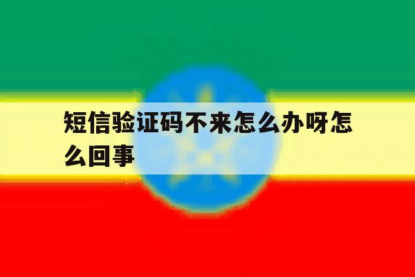 短信验证码不来怎么办呀怎么回事 短信验证码不来怎么办呀怎么回事