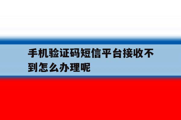 手机验证码短信平台接收不到怎么办理呢 手机验证码短信平台接收不到怎么办理呢