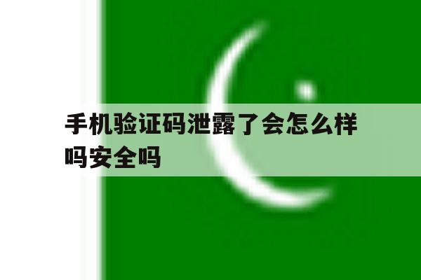 手机验证码泄露了会怎么样吗安全吗 手机验证码泄露了会怎么样吗安全吗