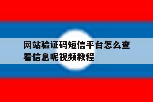 网站验证码短信平台怎么查看信息呢视频教程 网站验证码短信平台怎么查看信息呢视频教程