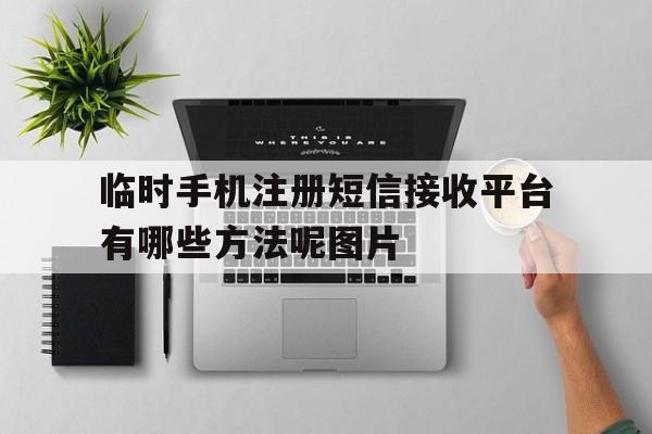 临时手机注册短信接收平台有哪些方法呢图片的简单介绍 临时手机注册短信接收平台有哪些方法呢图片的简单介绍