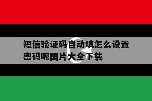 关于短信验证码自动填怎么设置密码呢图片大全下载的信息 关于短信验证码自动填怎么设置密码呢图片大全下载的信息