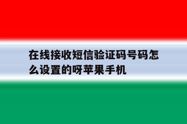在线接收短信验证码号码怎么设置的呀苹果手机 在线接收短信验证码号码怎么设置的呀苹果手机