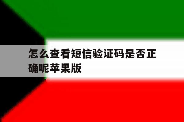 怎么查看短信验证码是否正确呢苹果版 怎么查看短信验证码是否正确呢苹果版